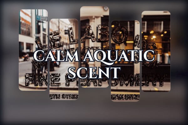 calm aquatic scent
