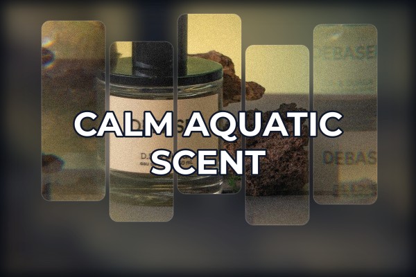 calm aquatic scent