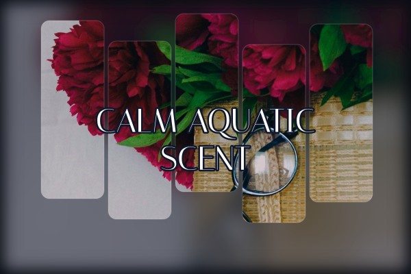 calm aquatic scent