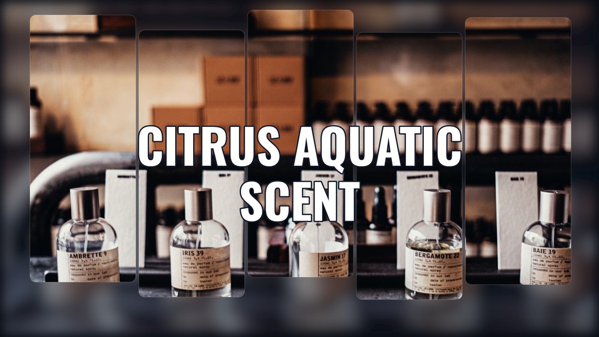 citrus aquatic scent