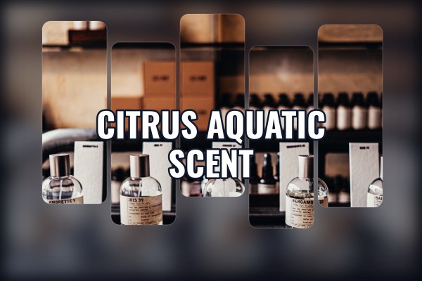 citrus aquatic scent
