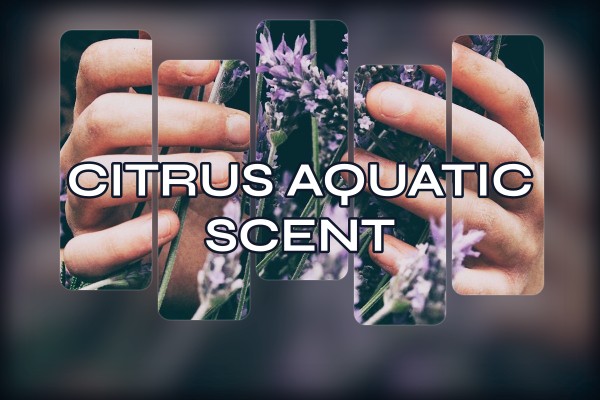 citrus aquatic scent