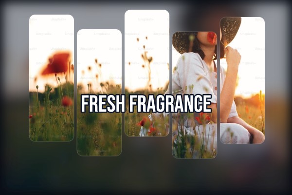 fresh fragrance