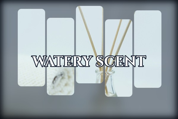 watery scent
