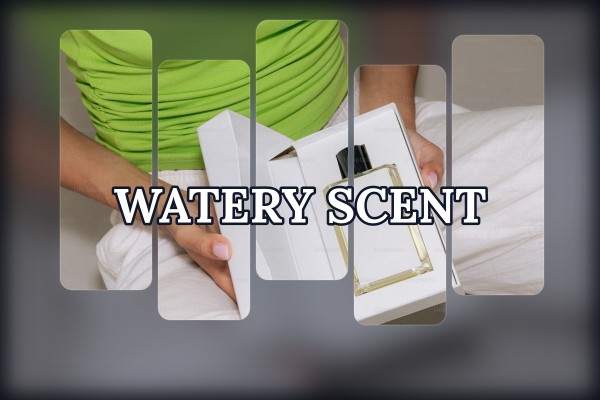 watery scent